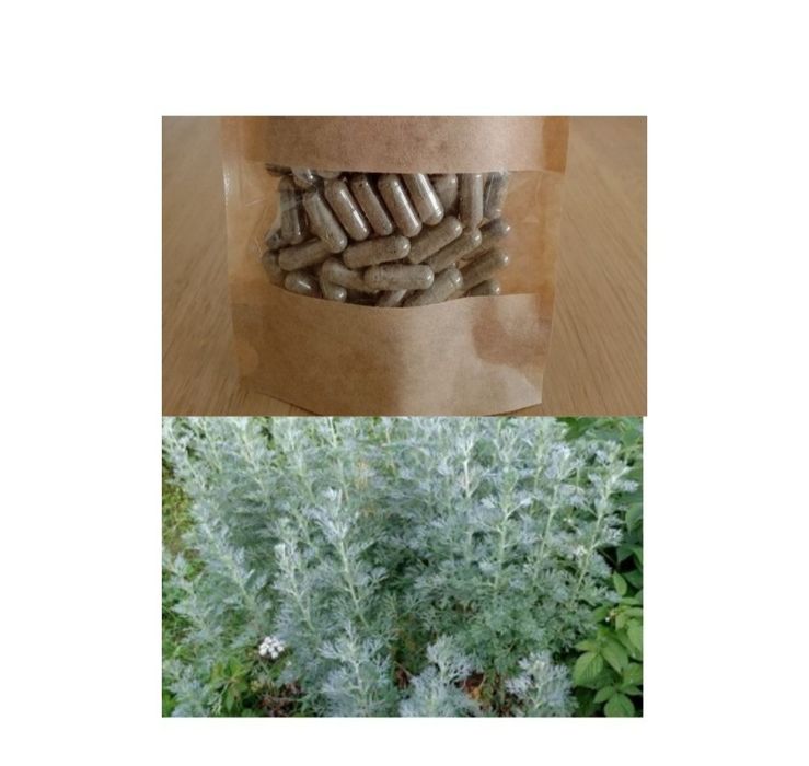 Kapsułki z piołunu i goździka