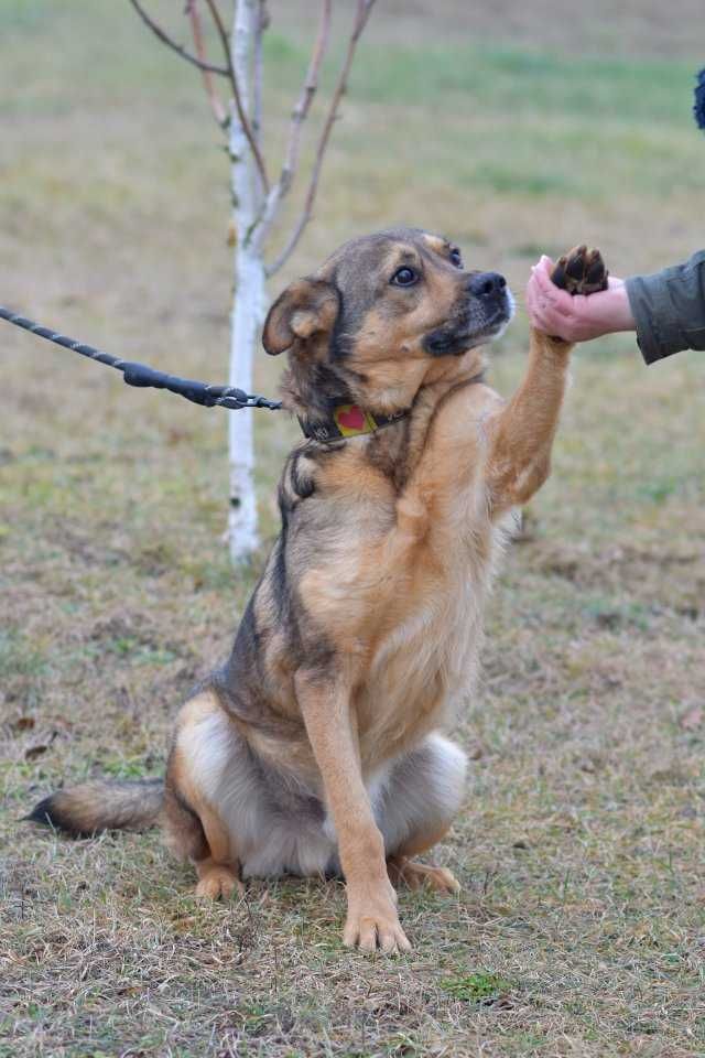 Clyde, ile jeszcze musi czekać?