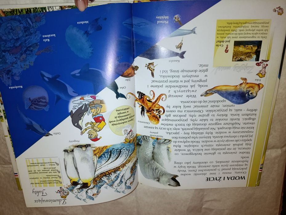 Encyklopedia dla dzieci