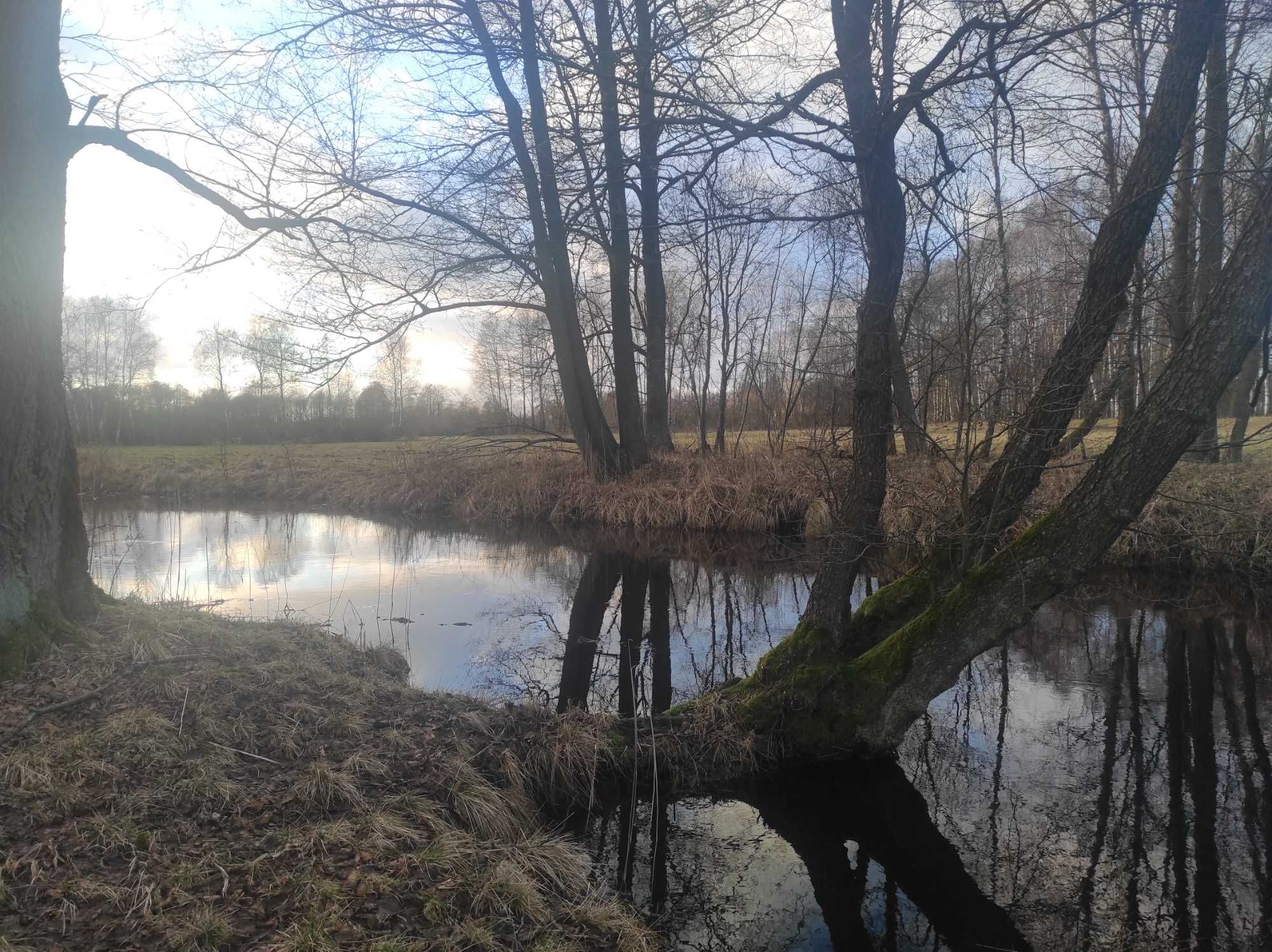 Działka budowlana SPORE / okolica Szczecinek