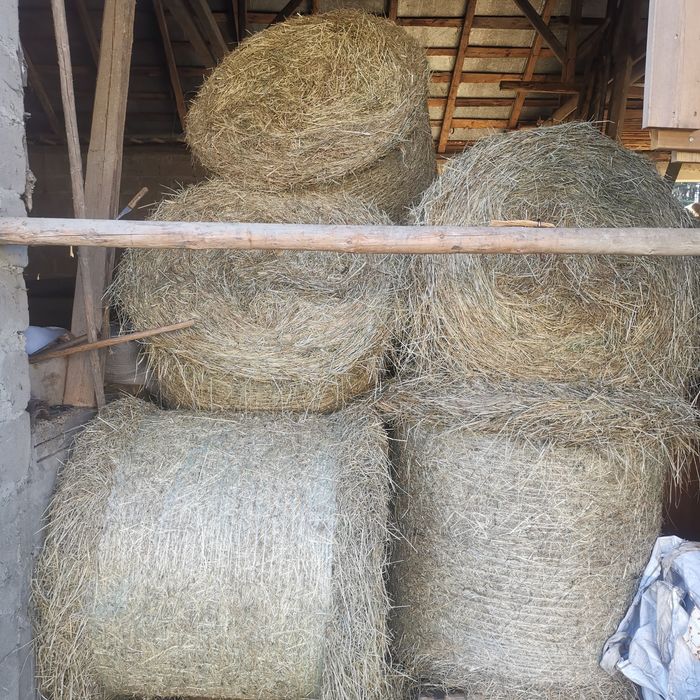 Siano, słoma bele 120/120 Transport, suche