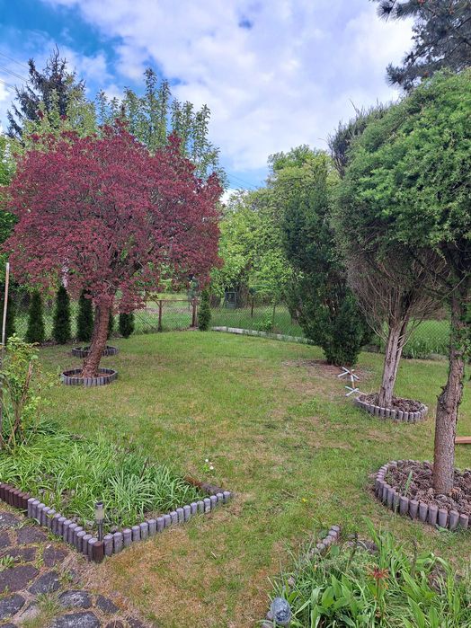 Sprzedam Działkę ROD " Łączka Zajączka" Kajetany