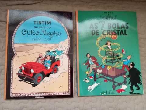 Tintin (22 álbuns - coleção completa)