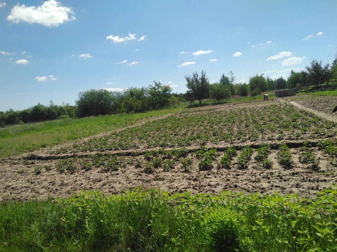 Продам перспективну земельну ділянку під забудову Чайки IO