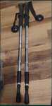 Kijki do Nordic walking