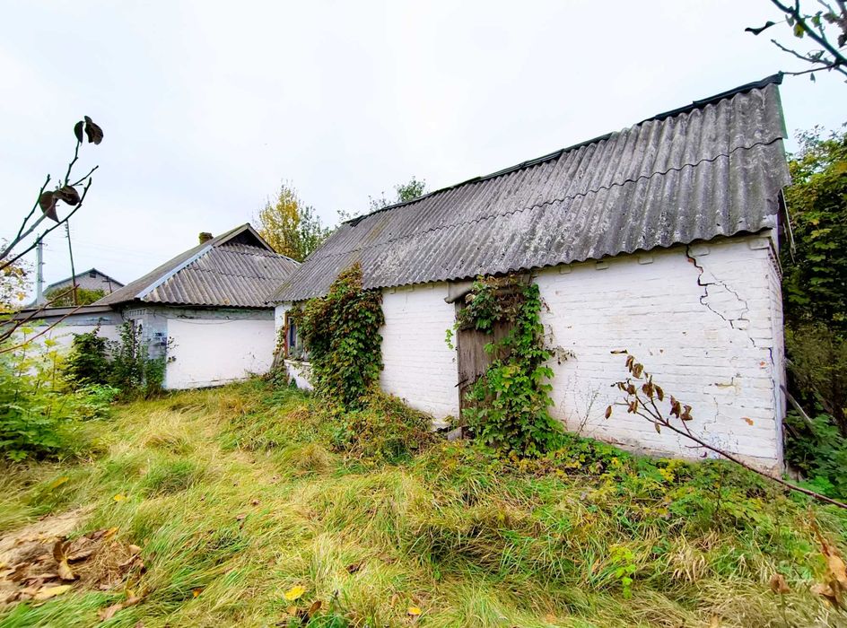 Дім 63 м2 українська хата піч Дмитрушки 2 км Умань 53 сотки + 18 соток