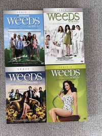 Serie 1, 2, 3 e 4 Weeds