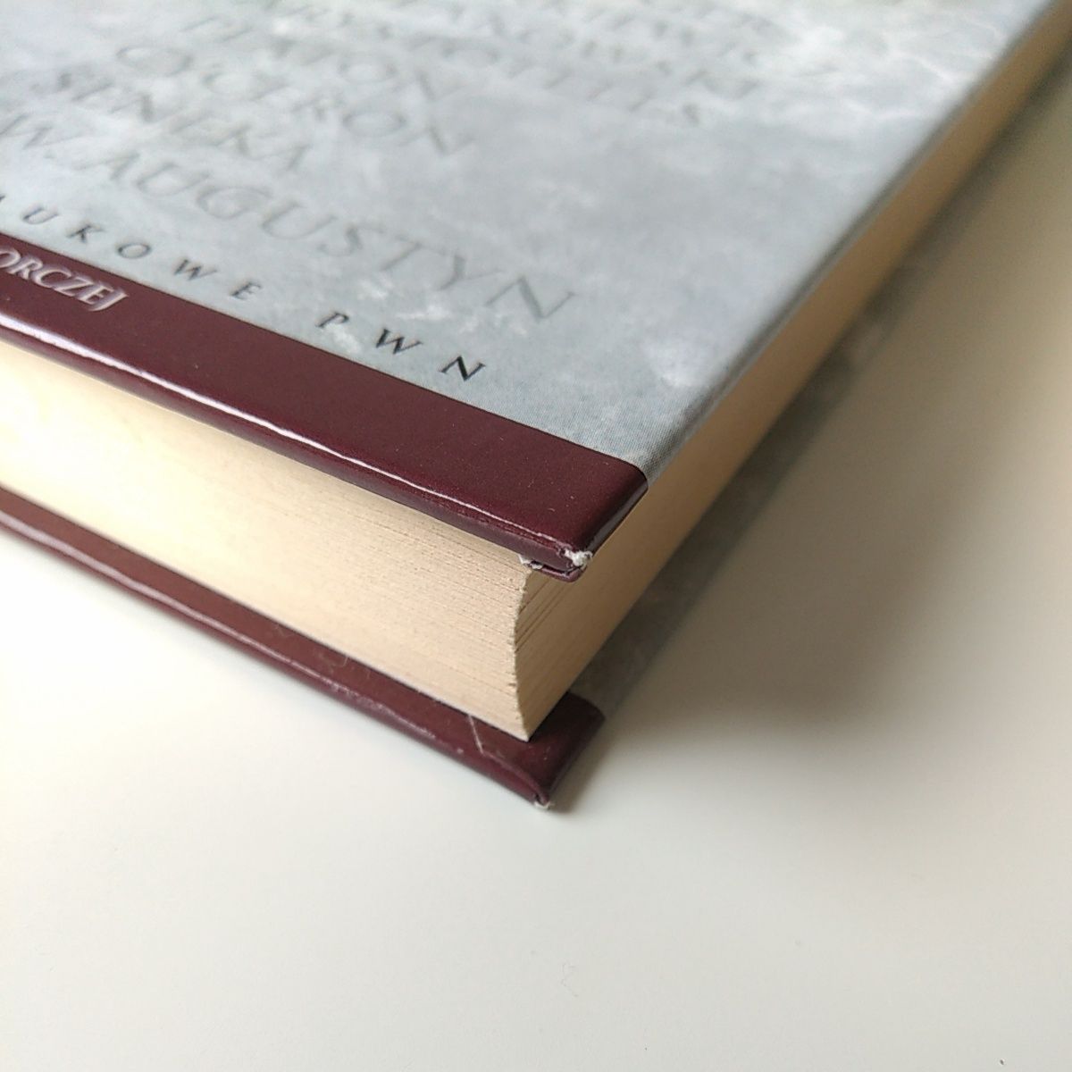 Wolter Elementy Filozofii Newtona