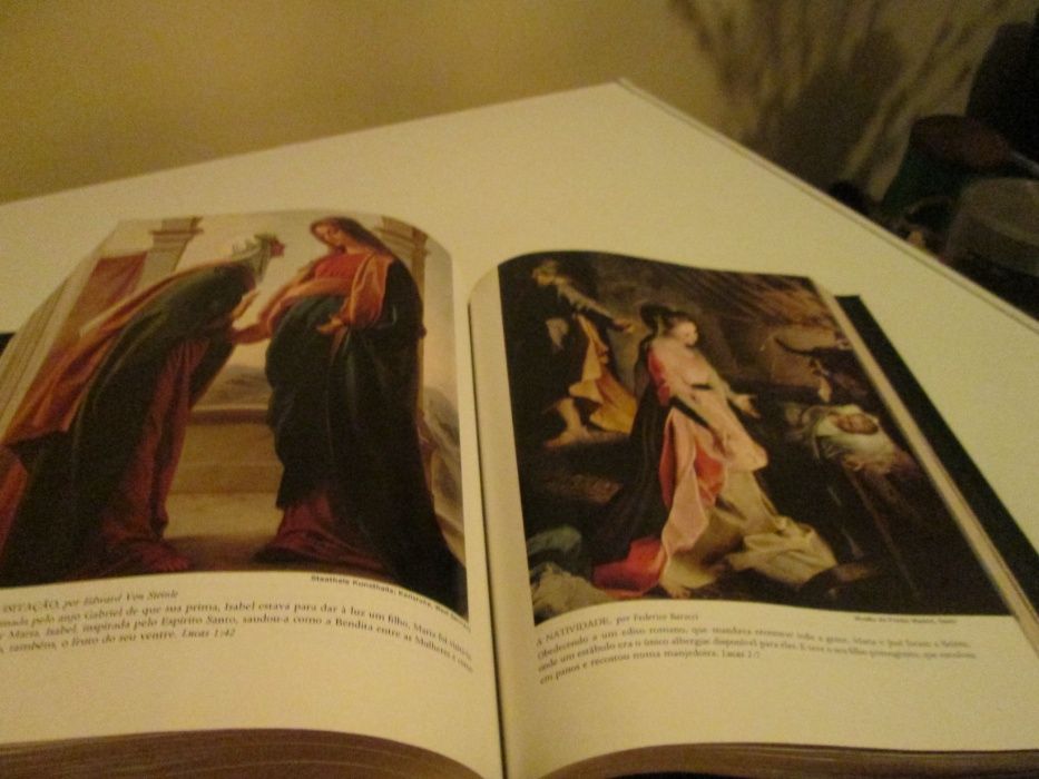 1 biblia em encadernação de luxo