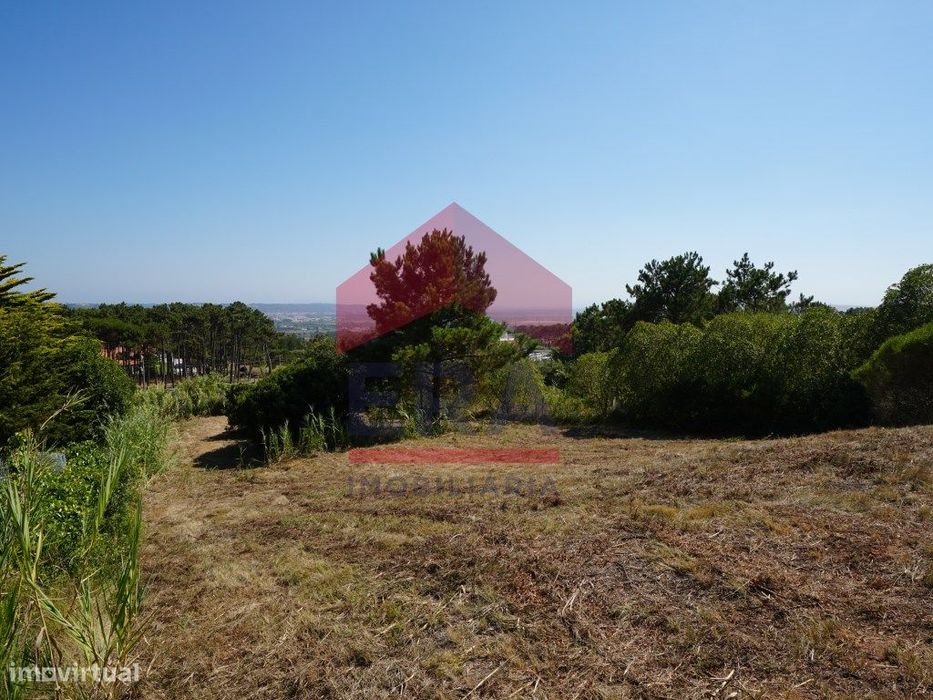 Terreno de 3.940m2, em Serra dos Mangues, São Martinho do Porto