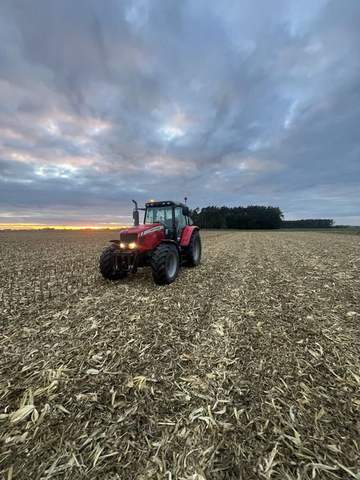 Mulczowanie ściernisk kukurydzy, traw, poplonów, nieużytków, rowów