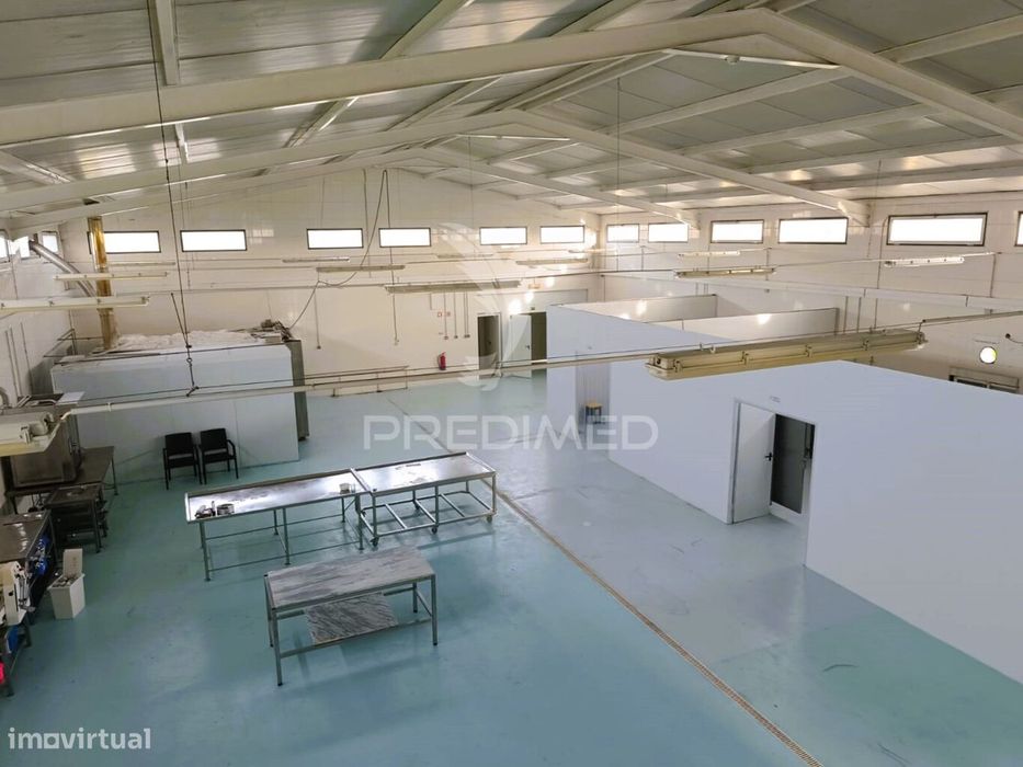Armazém Industrial equipado para Pastelaria/Panificação - Montoito