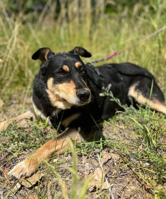 EWELINKA błaga o szanse