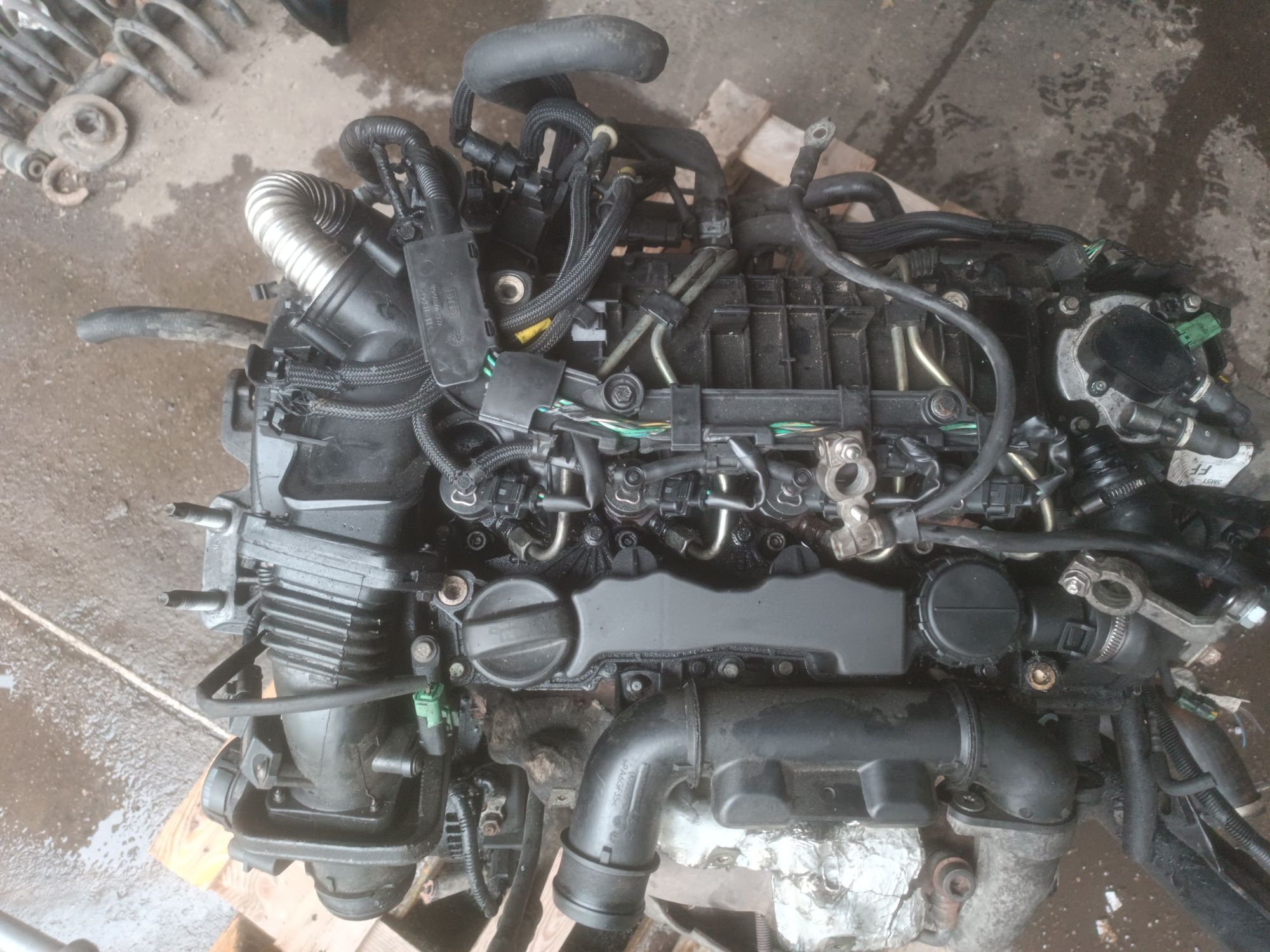 Silnik 1.6 TDCI HDI 90 KM Ford Focus MK2 C-Max Peugeot