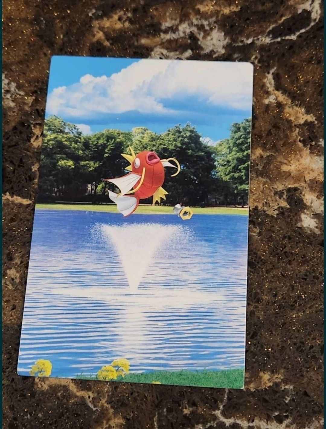 Pokemon TCG go mini tin Magikarp покемон карты