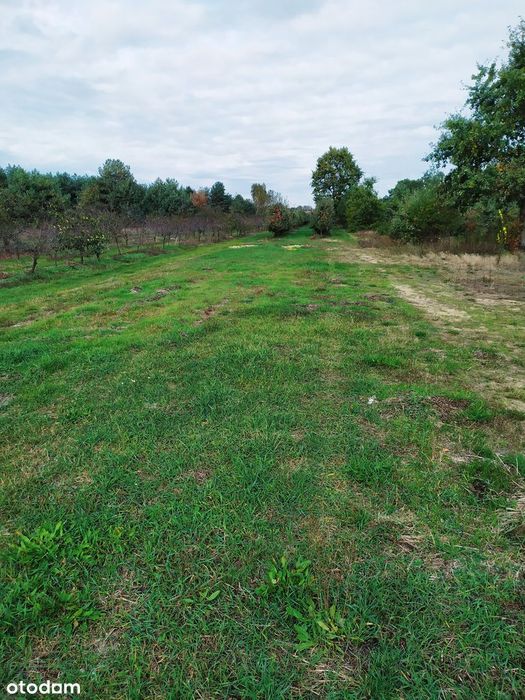 Okazja: Działka nad jeziorem w Mniszewie, ok 50 km od  Centrum W-Wy