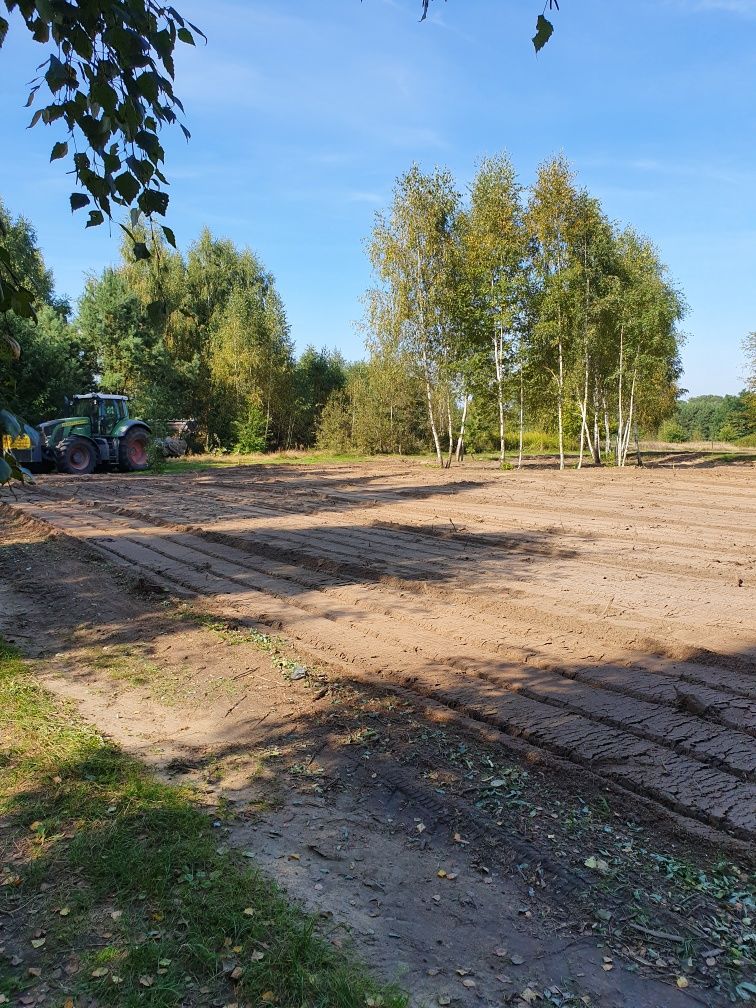 Mulczer leśny i wgłębny usługi wycinka czyszczenie działek karczowanie