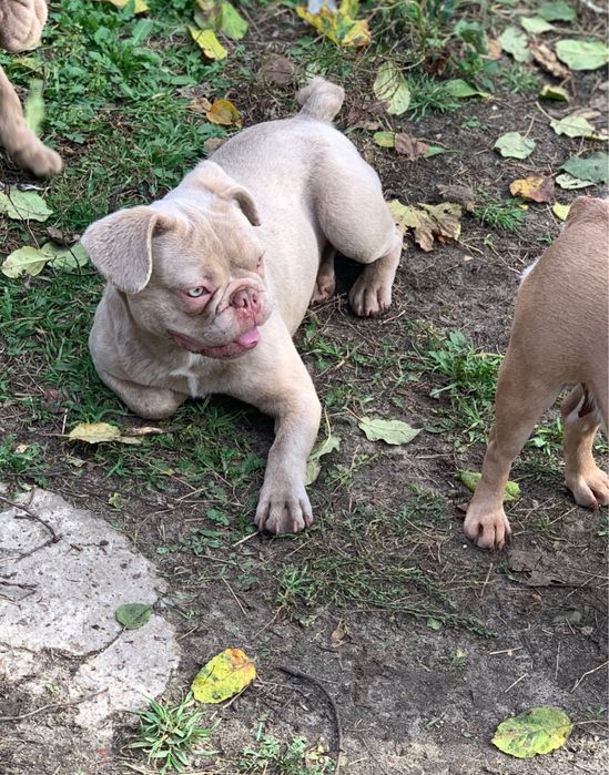 Мальчик подросток редкий окрас