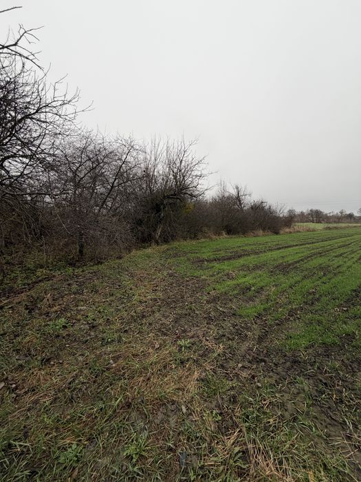 Продається земельна ділянка