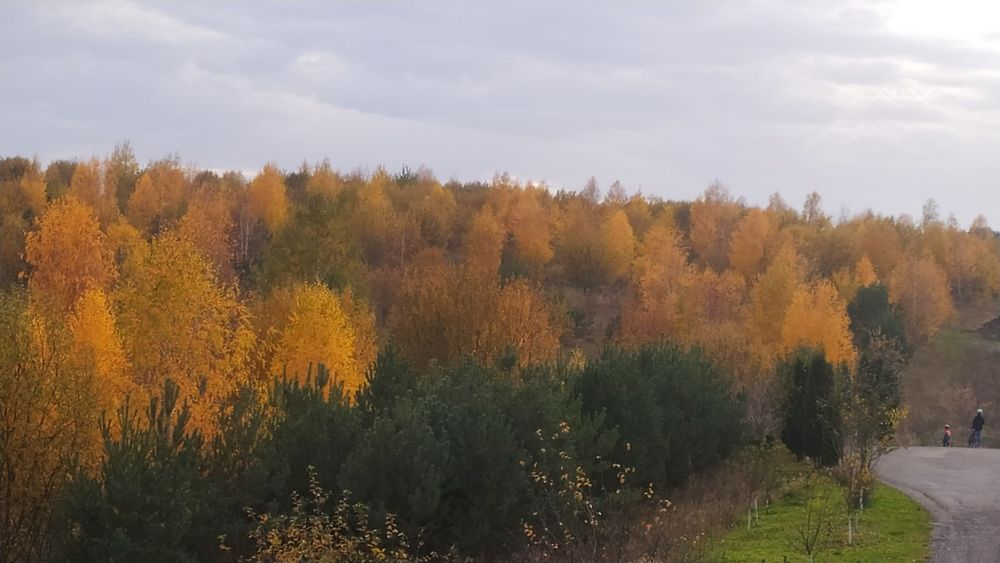 Продам будинок біля спорбази гарний краєвид.Навпроти Галицький ботаніч
