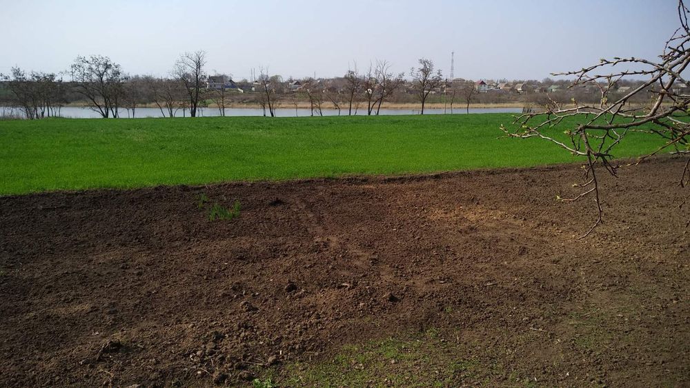 Продається будинок в Новому Бузі