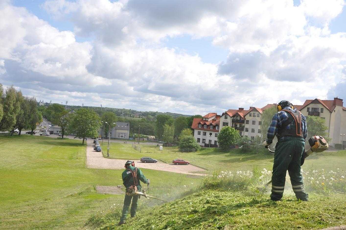 Koszenie trawy kosą spalinową, szybko i tanio profesjonalnie