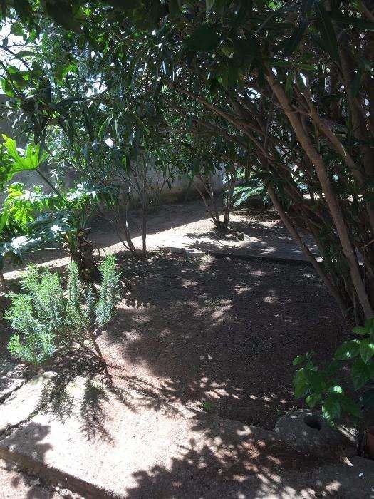 Serviço de limpezas de Terrenos e Corte de árvores.