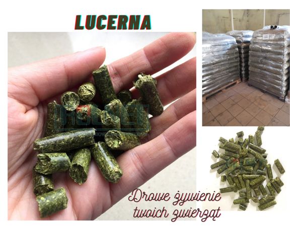 Lucerna premium w pellecie Wysokowartościowa 17% białka