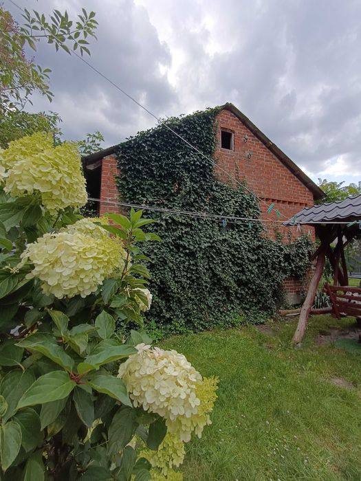 Siedlisko z domem po termomodernizacji w miejscowości Bielino