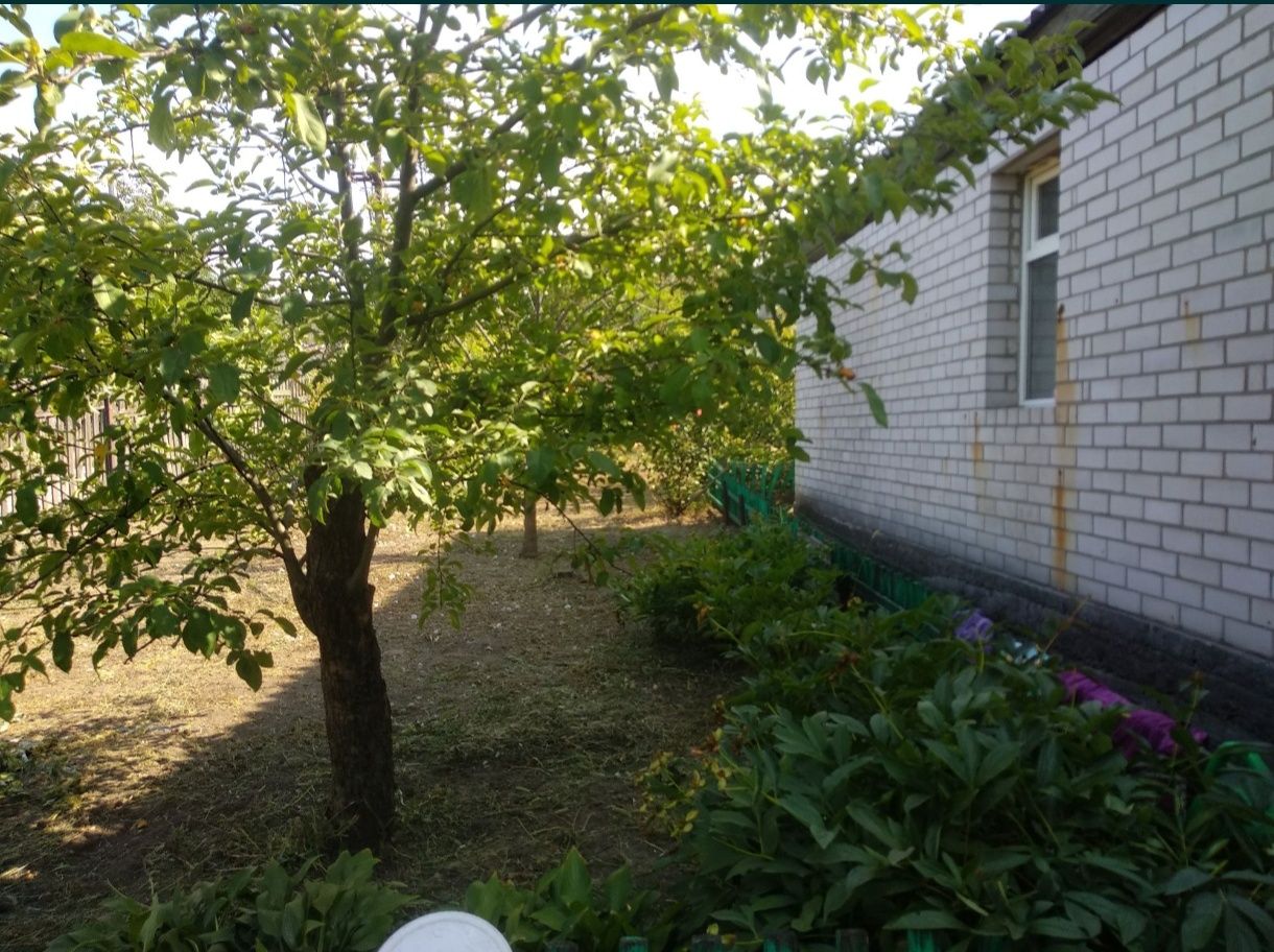 Продам дом в районе пр. Мазепы