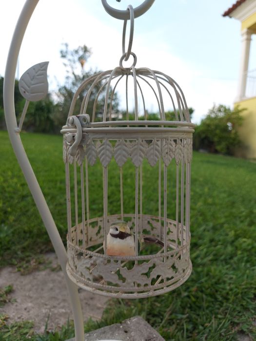 Gaiola decorativa para catos/suculentas