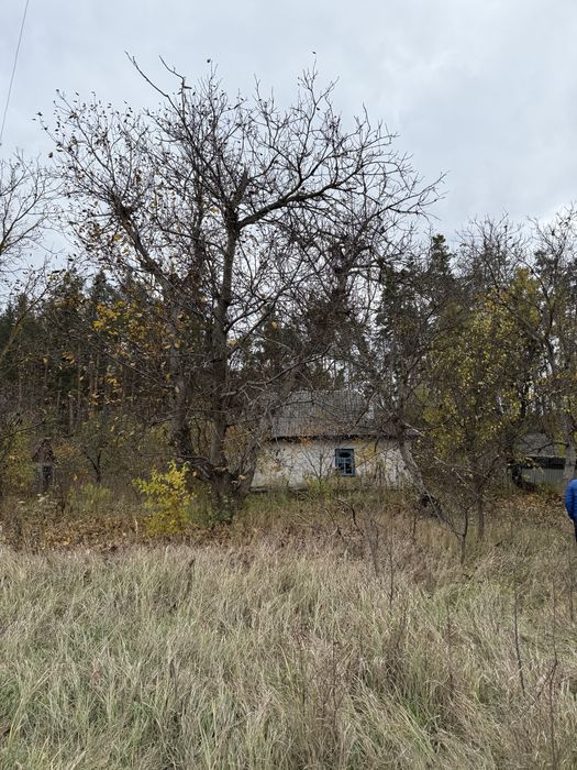 Ділянка в Мошнах біля лісу