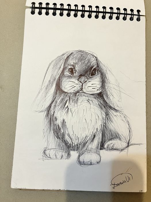 Малюнки начерки картини а5 формату графіка