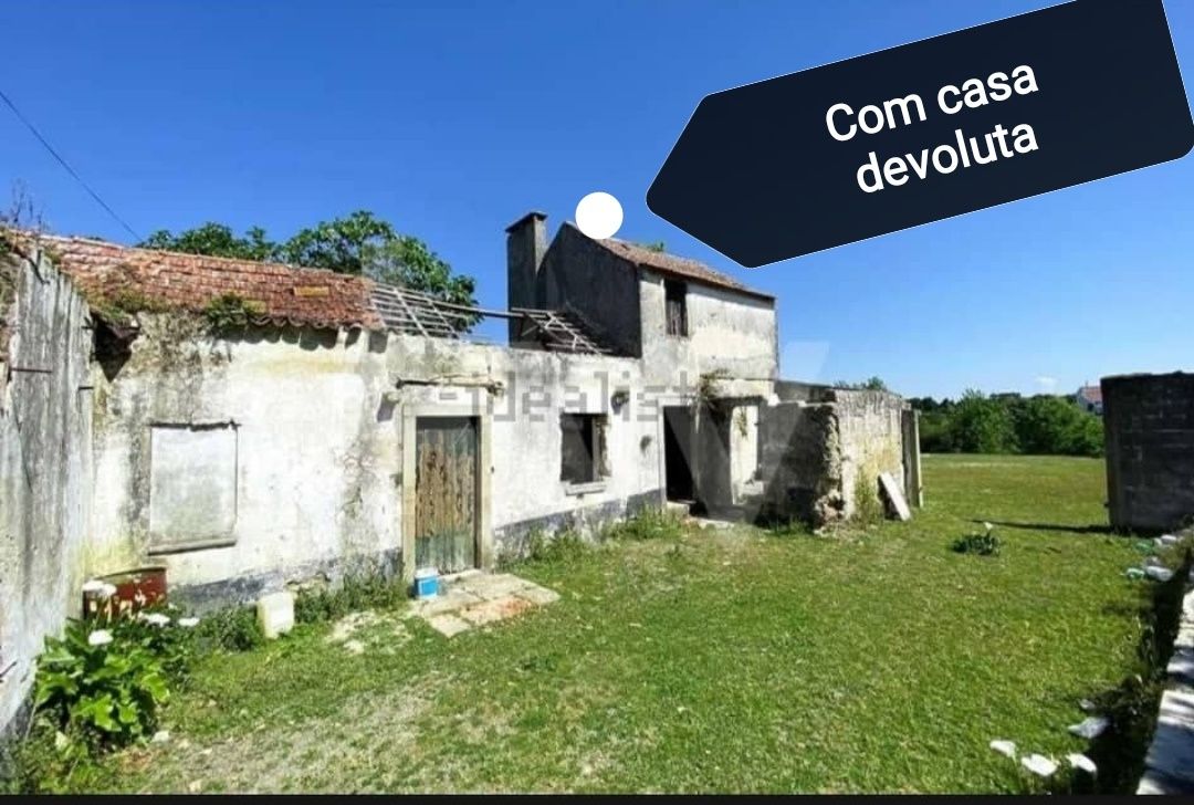 Terreno com casa devoluta - Coutada - próximo Universidade Aveiro
