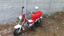 SKY TEAM 125 gongolo 125 skyteam125 dax 125