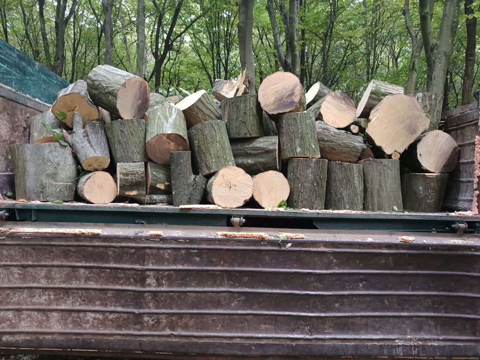 Продам дрова: рубані, чурки твердої породи