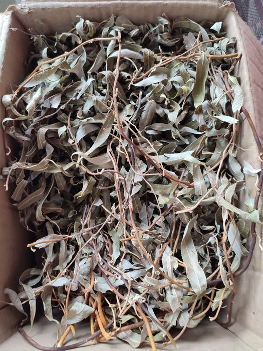 Листя верби сушене з гілочками верба