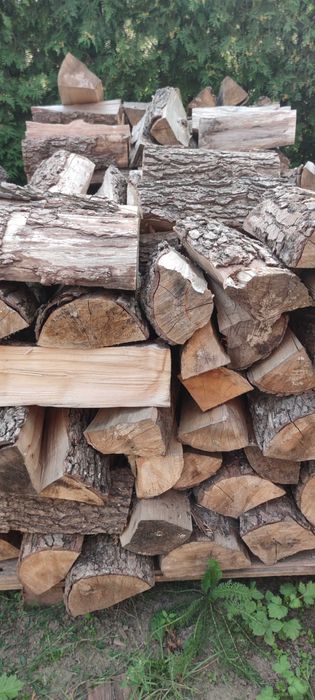 olcha drewno kominkowe sezonowane