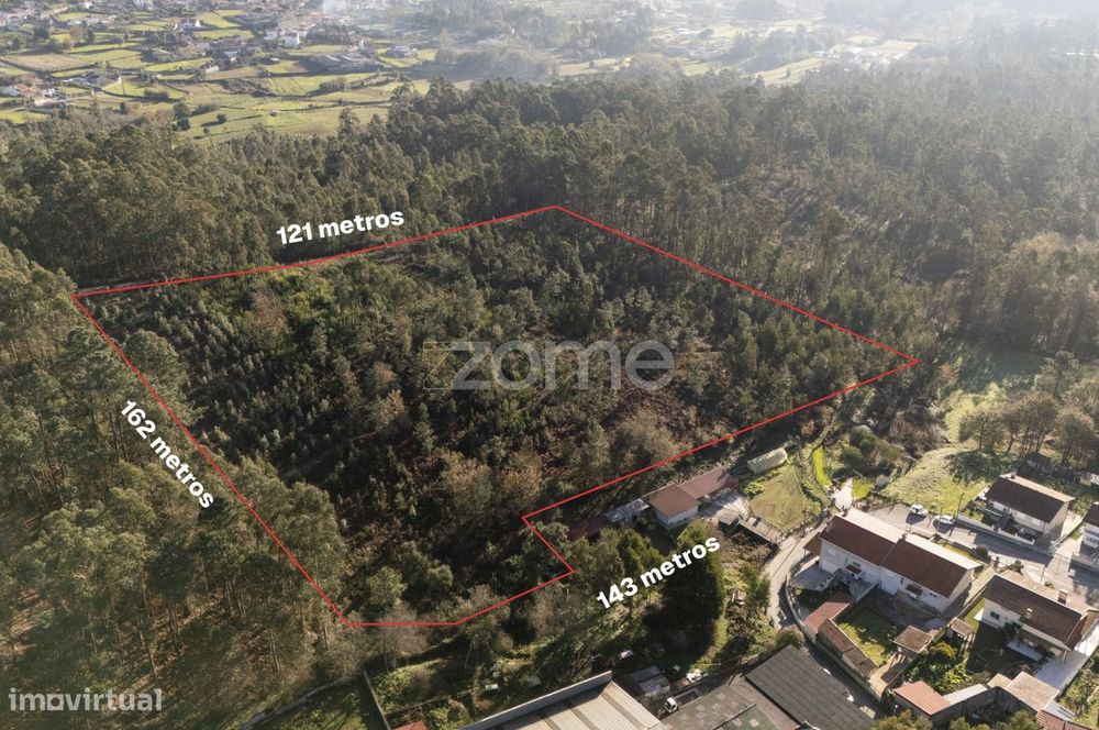 Terreno Rustico com 22500 m2, em Argoncilhe, Santa Maria da Feira