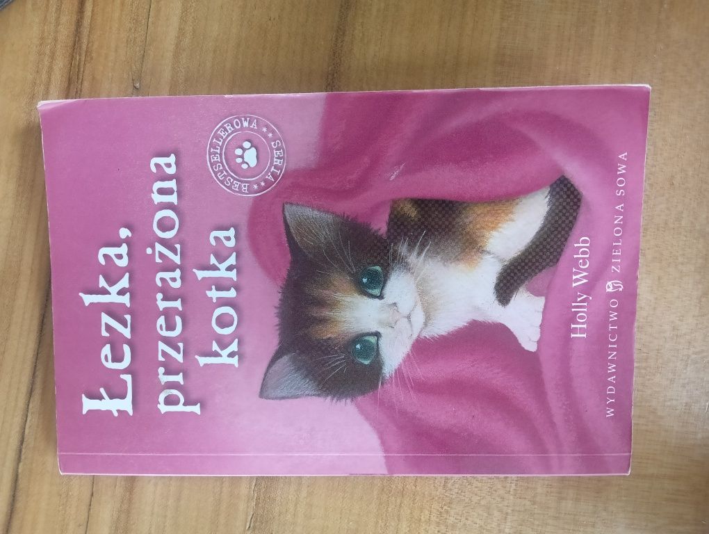 Łezka przerażona kotka Holly Webb