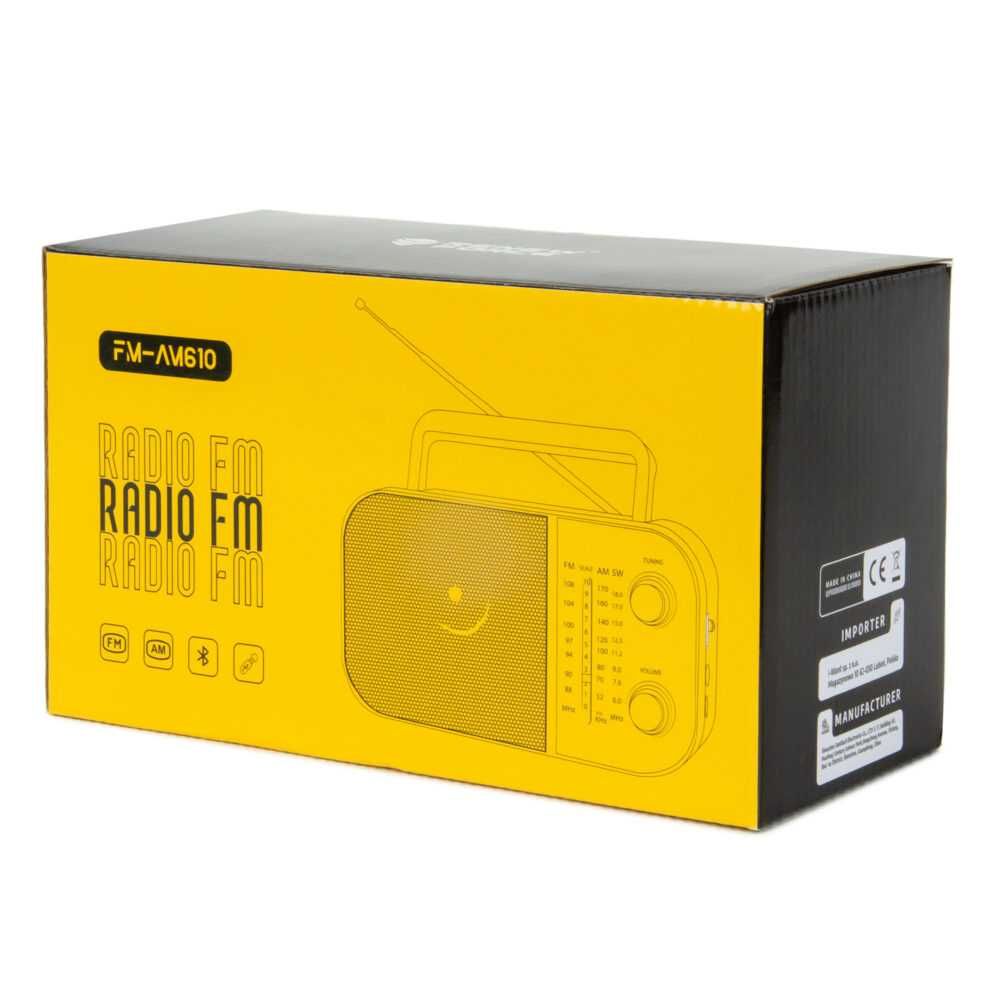 Radio AM FM Bluetooth na Baterie Przenośne FM-AM610