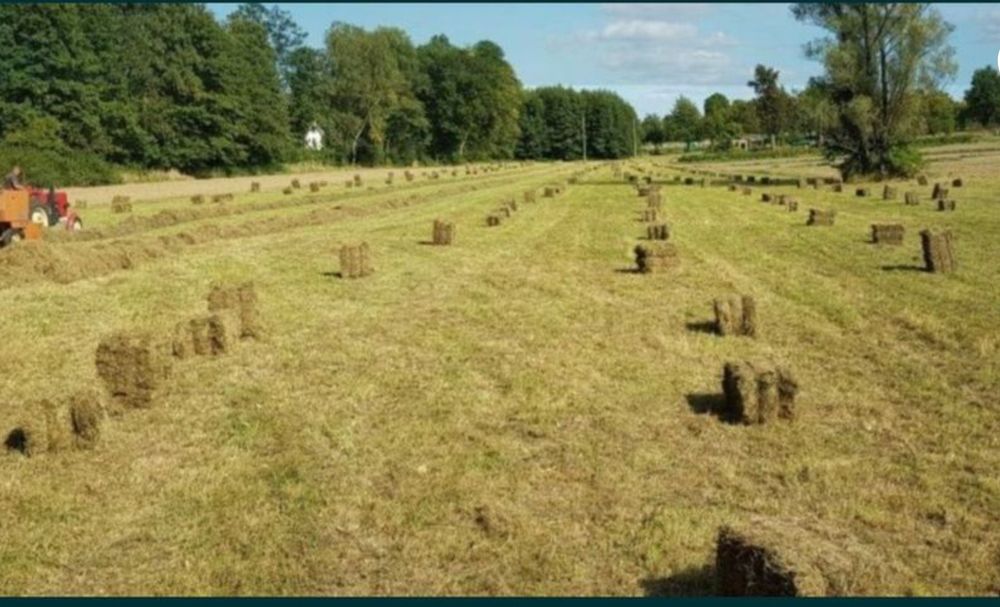 Siano w kostkach 2025 r.