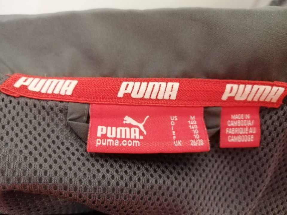 Casaco desportivo, Puma, cinzento, criança 10 anos