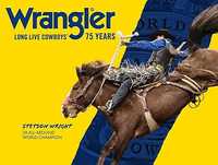 джинсы мужские Wrangler 0047mwz.