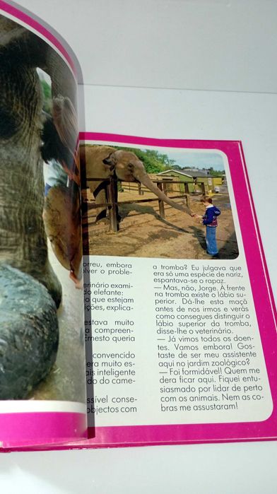 A Vida dos Animais do Jardim Zoológico - Viver e Descobrir