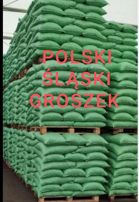 Ekogroszek PREMIUM workowany POLSKI dostawa pod dom Groszek PROMOCJA