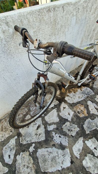 Bicicleta adulta