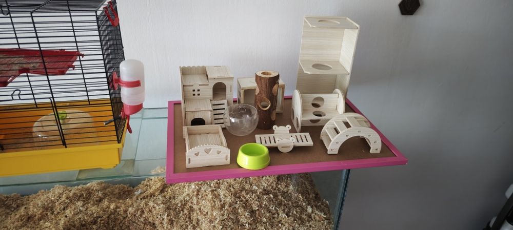 Akwarium dla chomika