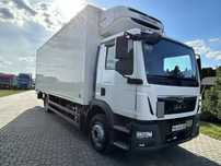 MAN TGM 15 290 chłodnia TK T-800R