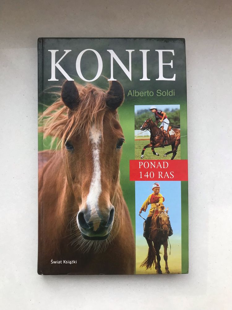 Konie. Alberto Soldi.